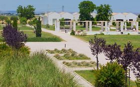 Masseria Fontana di Vite