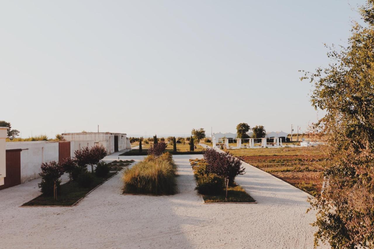 Masseria Fontana di Vite Matera Esterno foto