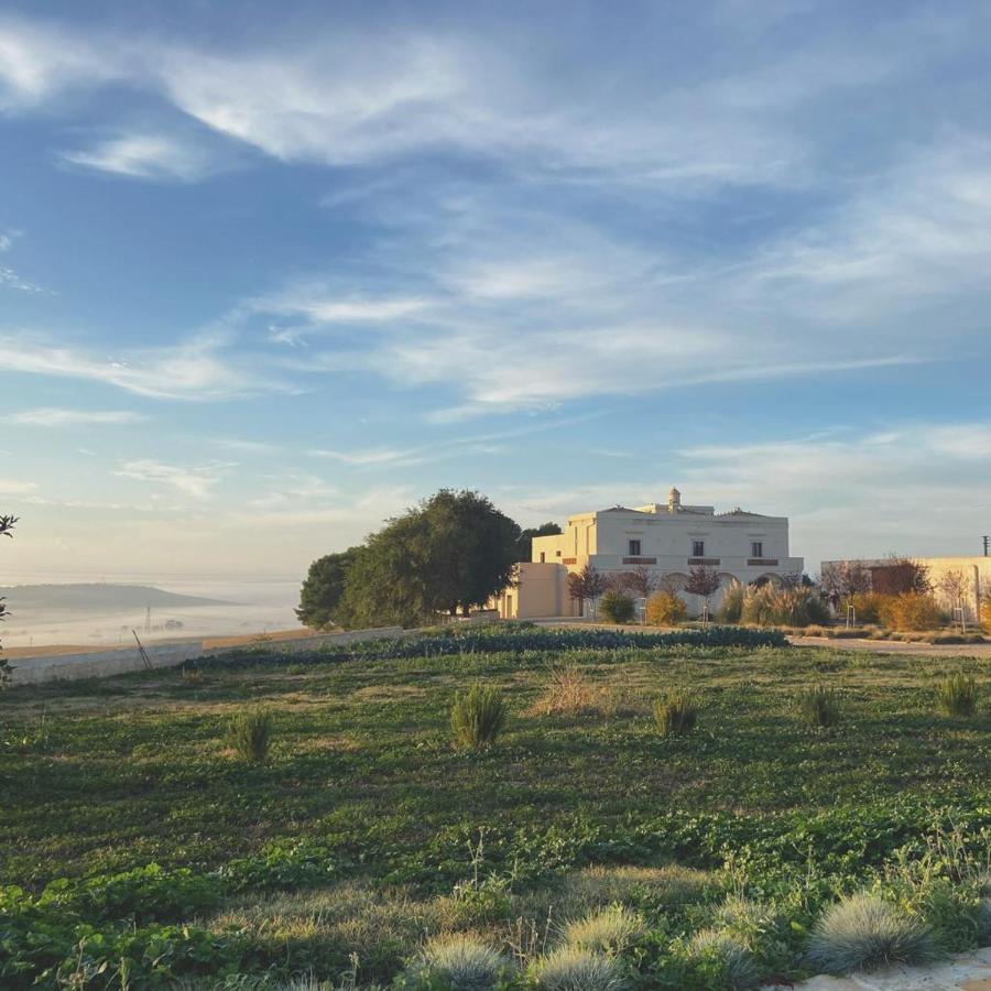Masseria Fontana di Vite Matera Esterno foto